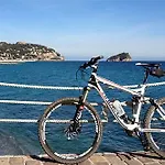 Mediterranee