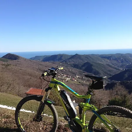 Mediterranee Ξενοδοχείο