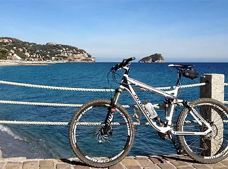 Mediterranee