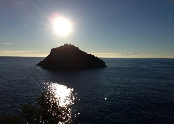 Mediterranee Spotorno