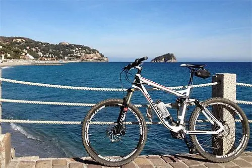 Mediterranee